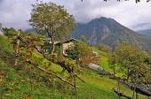 14 Clima e colori d'autunno